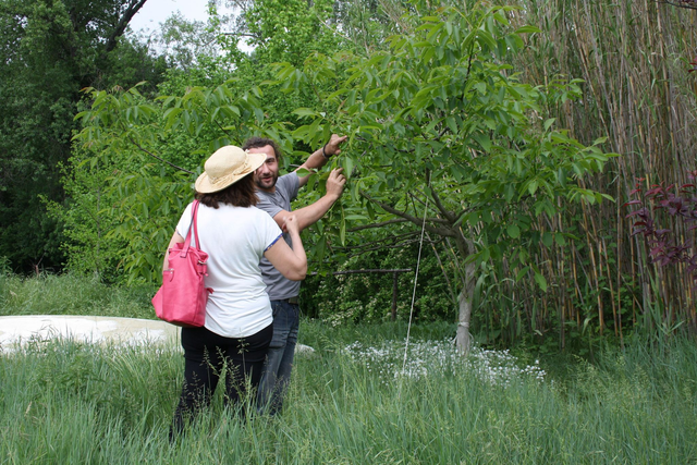 visite guidée du jardin