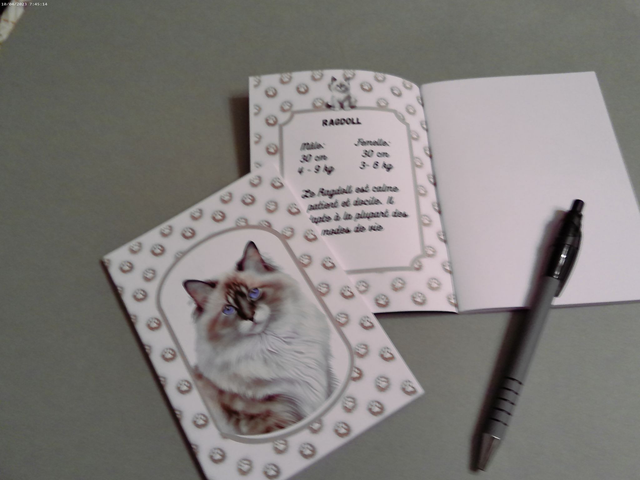 Carnet de note Ragdoll