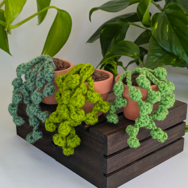 Crochet String of Pearls Plant
