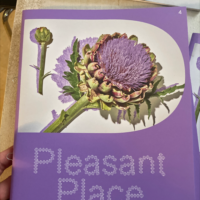 Pleasant Place Artichoke