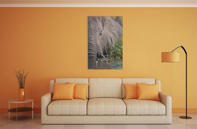 Tirage "Un éléphant, ça trompe énormément"