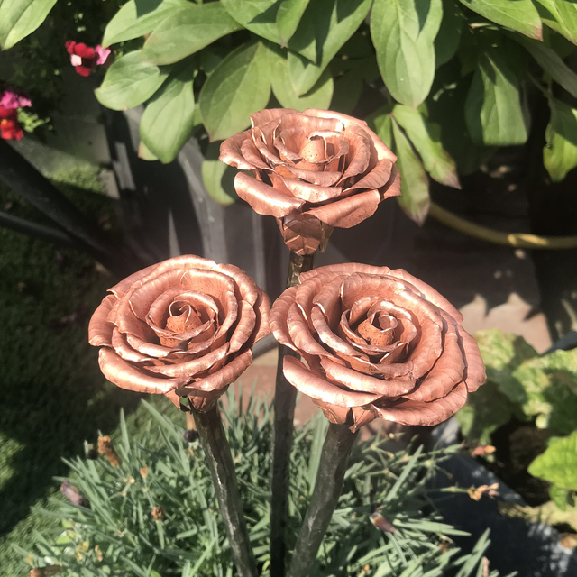Copper Rose 