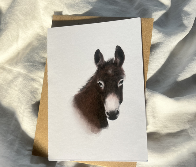 Auburn Donkey