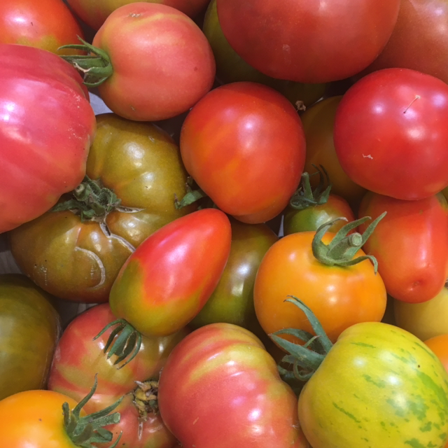 Tomate Ancienne Bio - 5,90€/kg