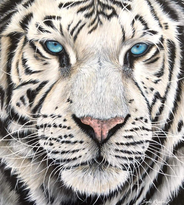 ‘Icy Stare’ Original Painting 