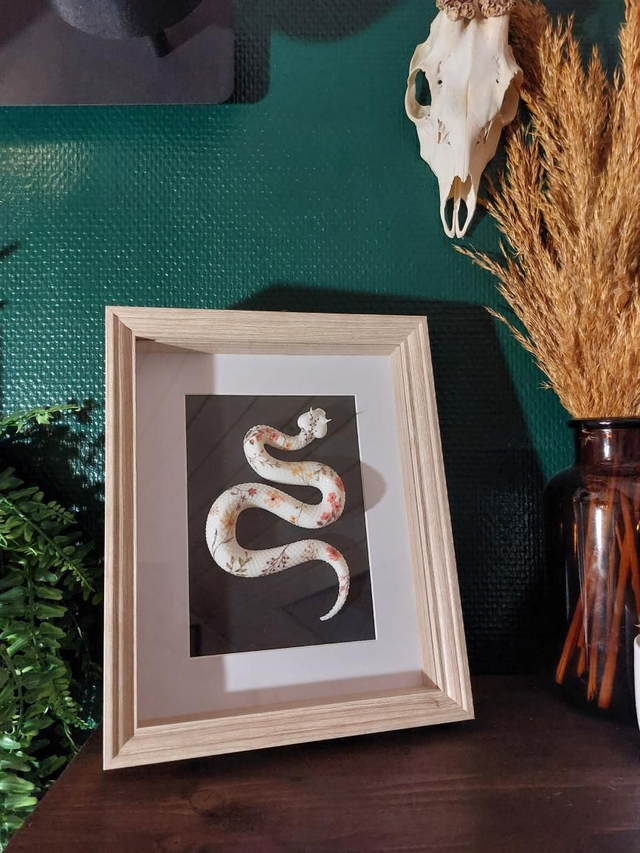 Cadre avec serpent fleurit 