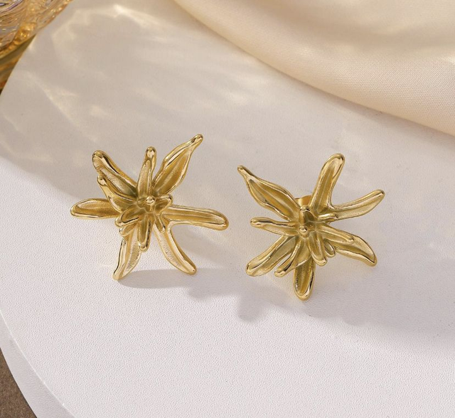 Boucle d&#039;oreille étoilé