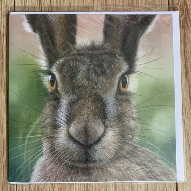 Greetings Card - Hare Brained - Blank Inside