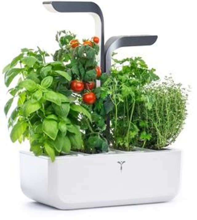 Véritable CONNECT - infinity grey