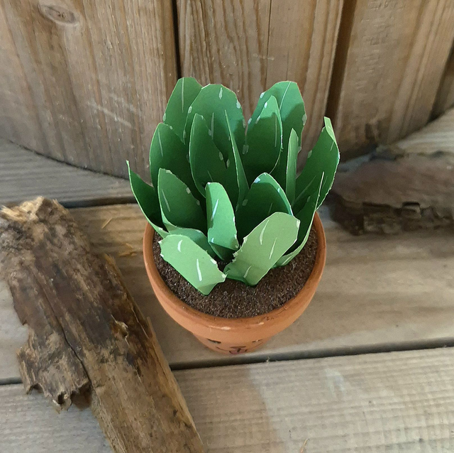 Baby plante &quot;Chien&quot;