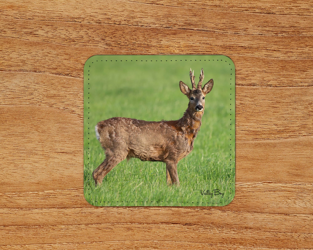 “Handsome Buck” Coaster 