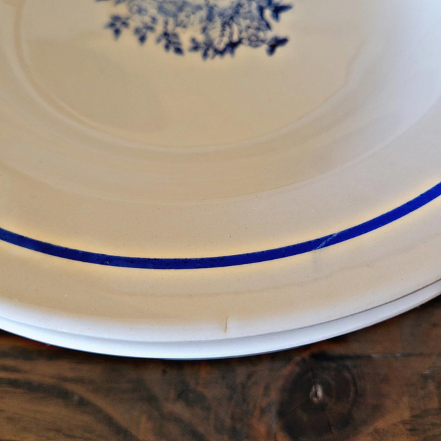 Assiettes creuses vintage faïence ADP, motifs de roses couleur bleu