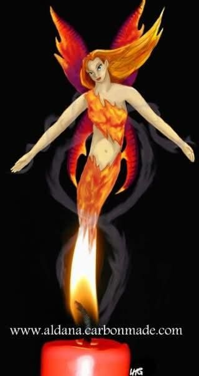 Salamander 8x6 mounted Signed Print