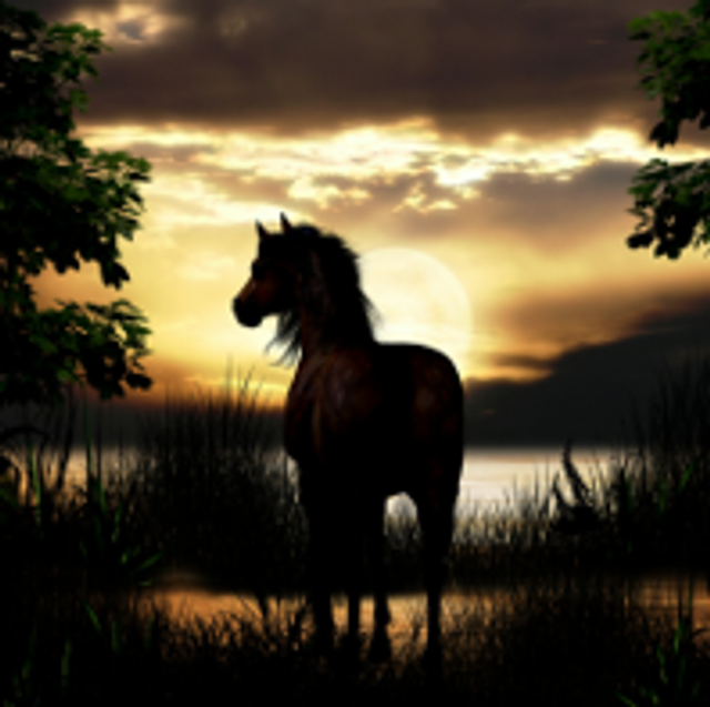 Hand made Cards - Silhouette