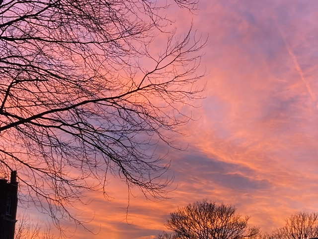 Access Consciousness Facilitation -online 45minutes