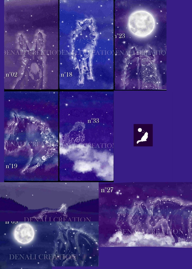 Affiches et posters CHEVAUX