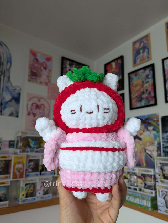 Kimono Tomato Cat