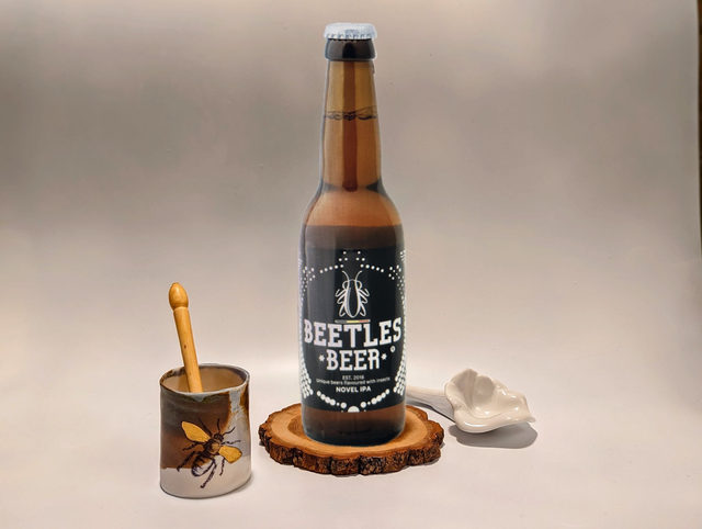 Bière Beetlesbeer IPA Grillon, ver de farine, sauterelle - NOUVELLE IPA 33cl  