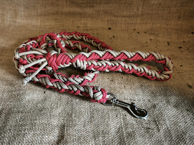 ♥️ Laisse "Rouge & Sable"