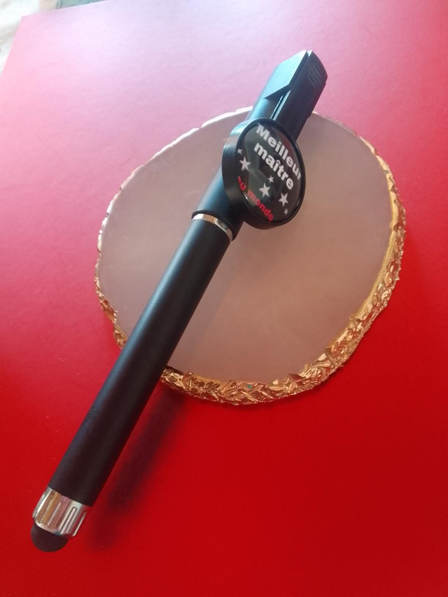 Meilleur maître du monde