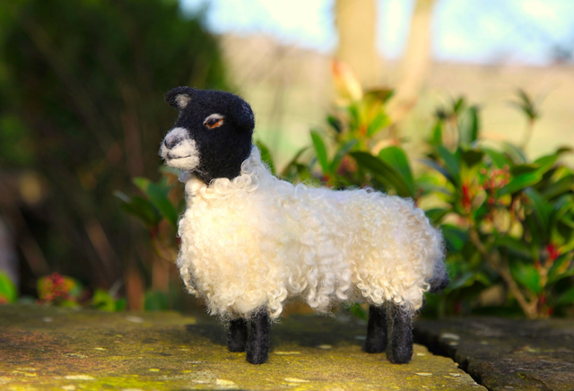 Wensleydale Sheep – Felting Workshop (45 + £2.94 booking fee)