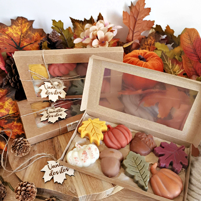 Les fondants d'automne