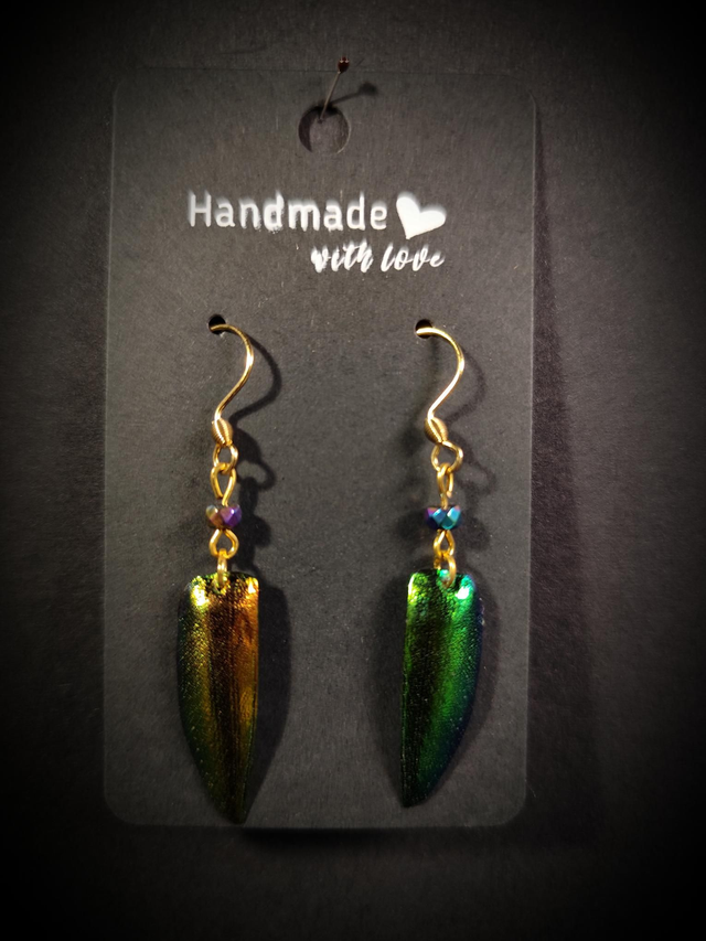 Boucles d&#039;oreilles Elytres de coléoptère

Acier inoxydable

