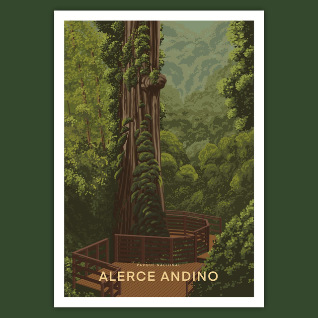Alerce Andino