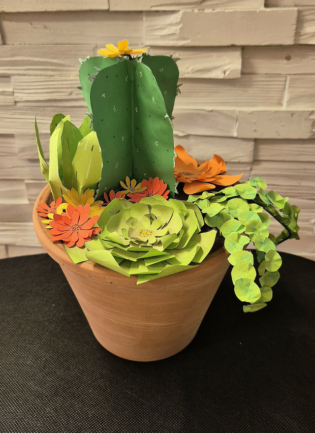 Cactus &amp; Compagnie