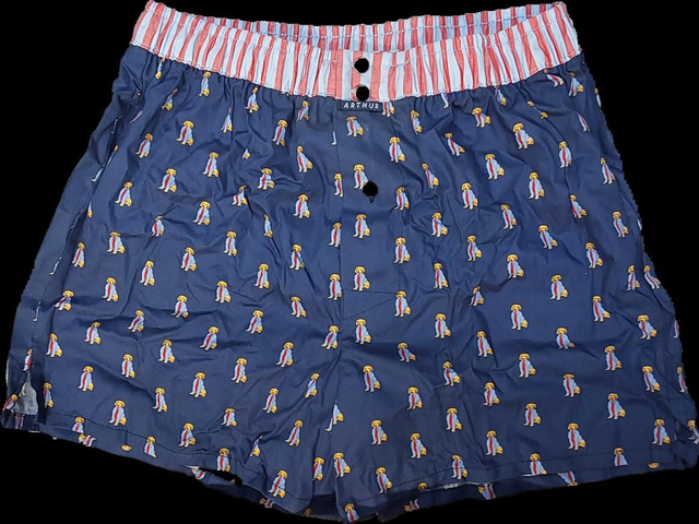 Caleçon slip ARTHUR 