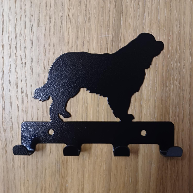Newfoundland Key Hook
