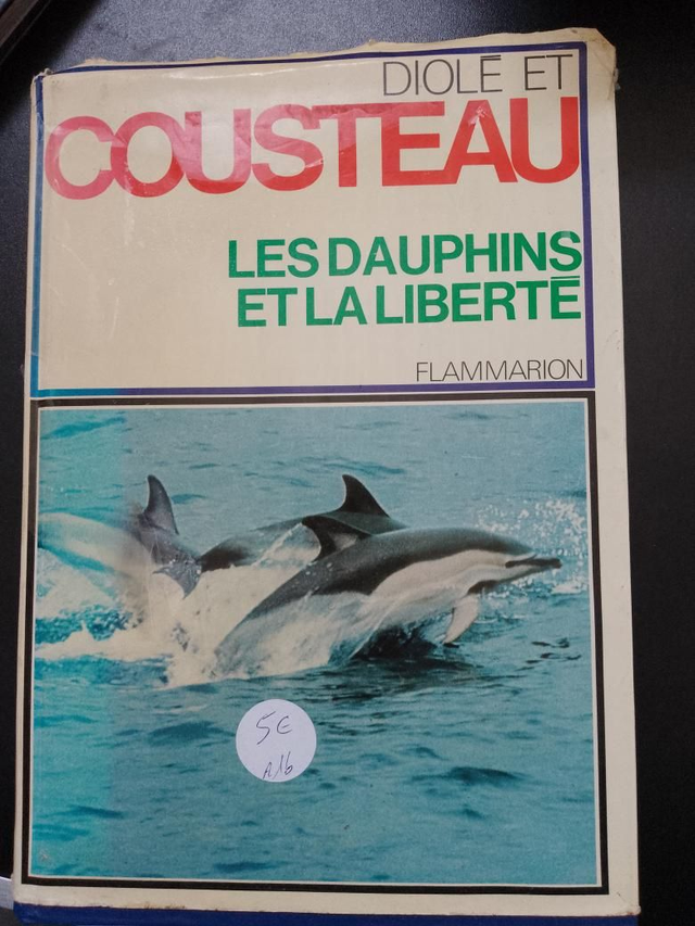 Les dauphins et la liberté, Diole et Cousteau