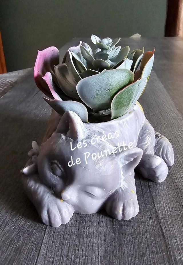 Petits pots chats et chiens pour succulentes