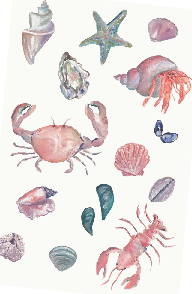 A3 Sea Life Print