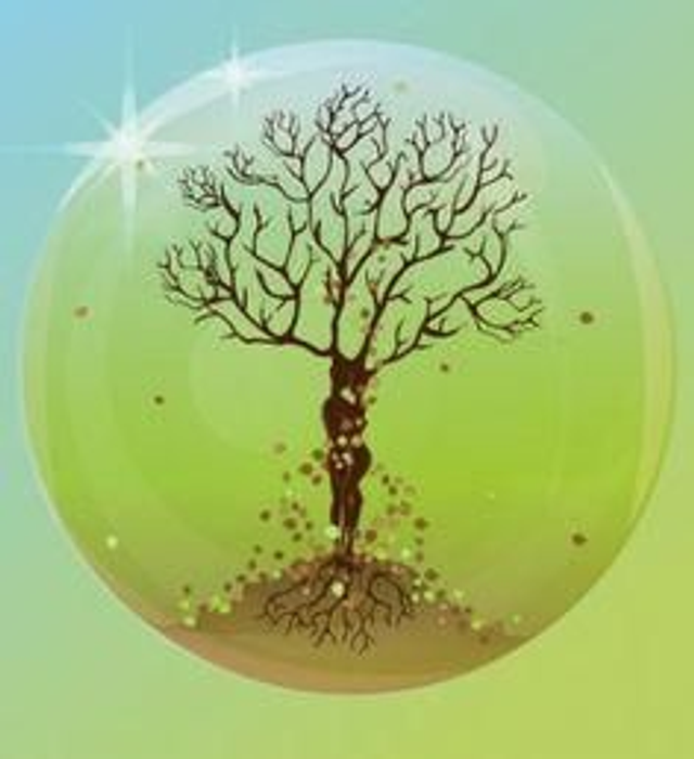 Massage Énergétique Et Intuitif