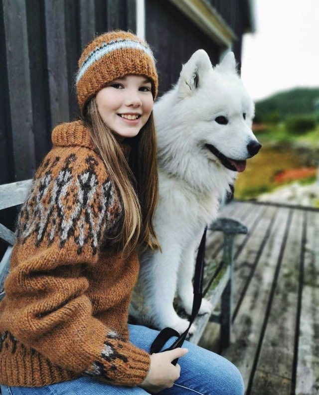 Tusseladd Polar Sweater Kit - Col 04 (Amber Heather) - Wool &amp; Pattern - Linka Neumann