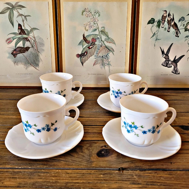 X Tasses (grand format 28 cl) Arcopal modèle Véronica / Myosotis