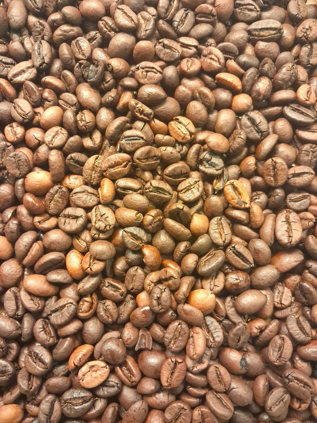 Vietnam Fine Robusta Coffee_Natural