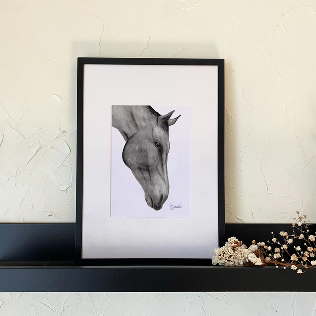 Caballo 