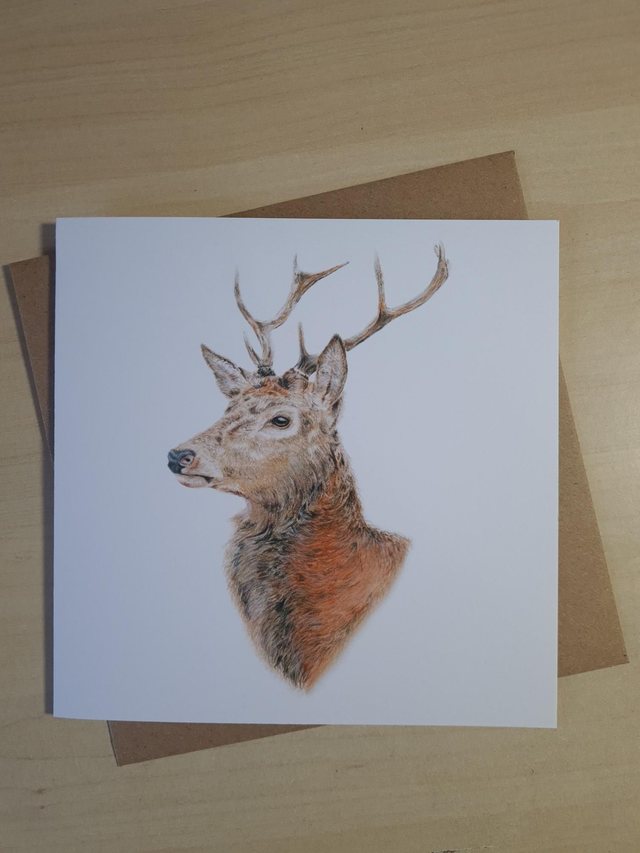 Stag Greeting Card