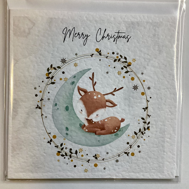 Personalised First Christmas frame and album set. Reindeer design.