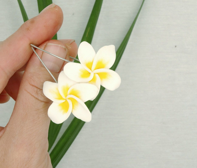 Pendientes de plumerias