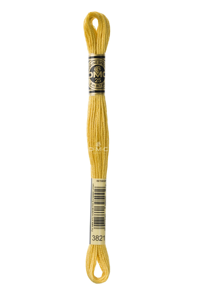 N°3821 Mouliné Spécial DMC