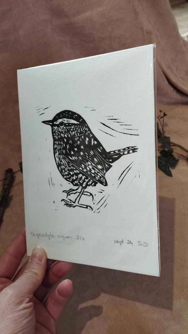 Illustration Oiseau Troglodyte Mignon en linogravure
