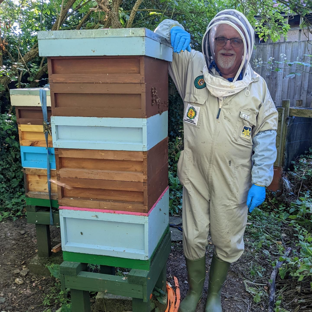 Adopt a hive - personal 