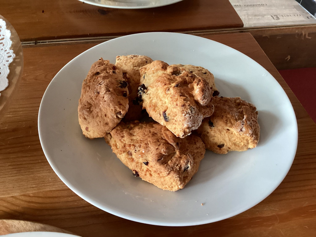 6 Fruit Scones