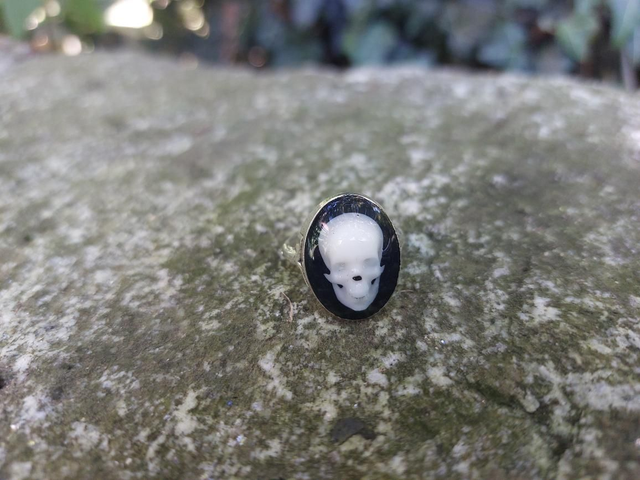 Bague ovale argentée crâne