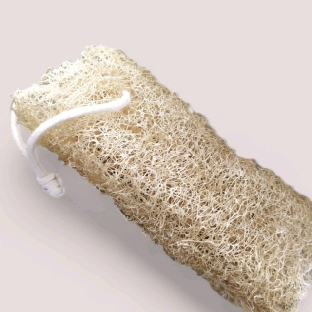 Éponge Luffa 