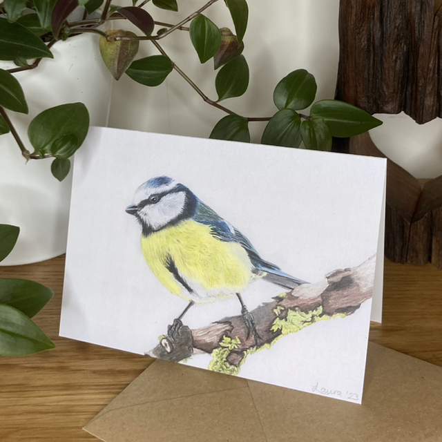 Bird Card Collection