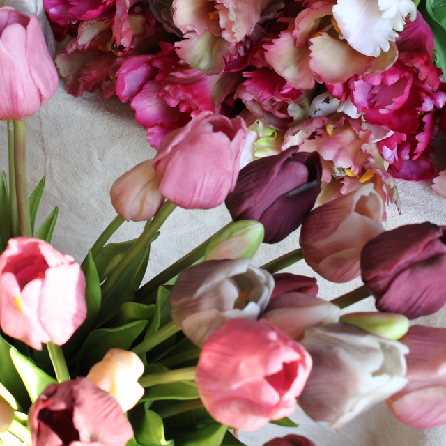 Classic Tulp Set New Fuchsia